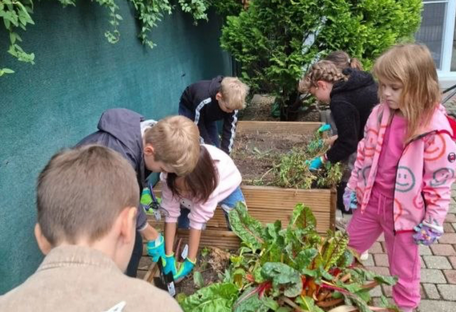 acton timisoara curriculum 2